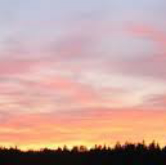 My Shop - Picture 2 of 2